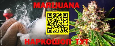 прущие грибы Северобайкальск