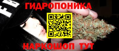 прущие грибы Северобайкальск