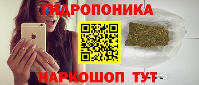 амф Севастополь