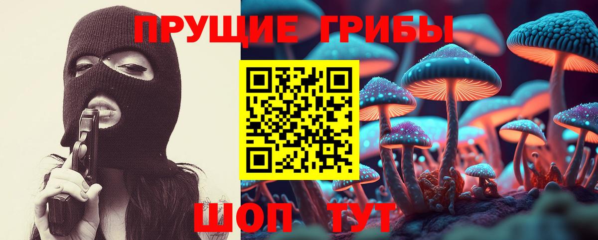 Ревда  Псилоцибиновые грибы Psilocybe  Вход с VPN  Галлюциногенные грибы прущие грибы 